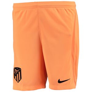 THIRD 22/23 SHORTS